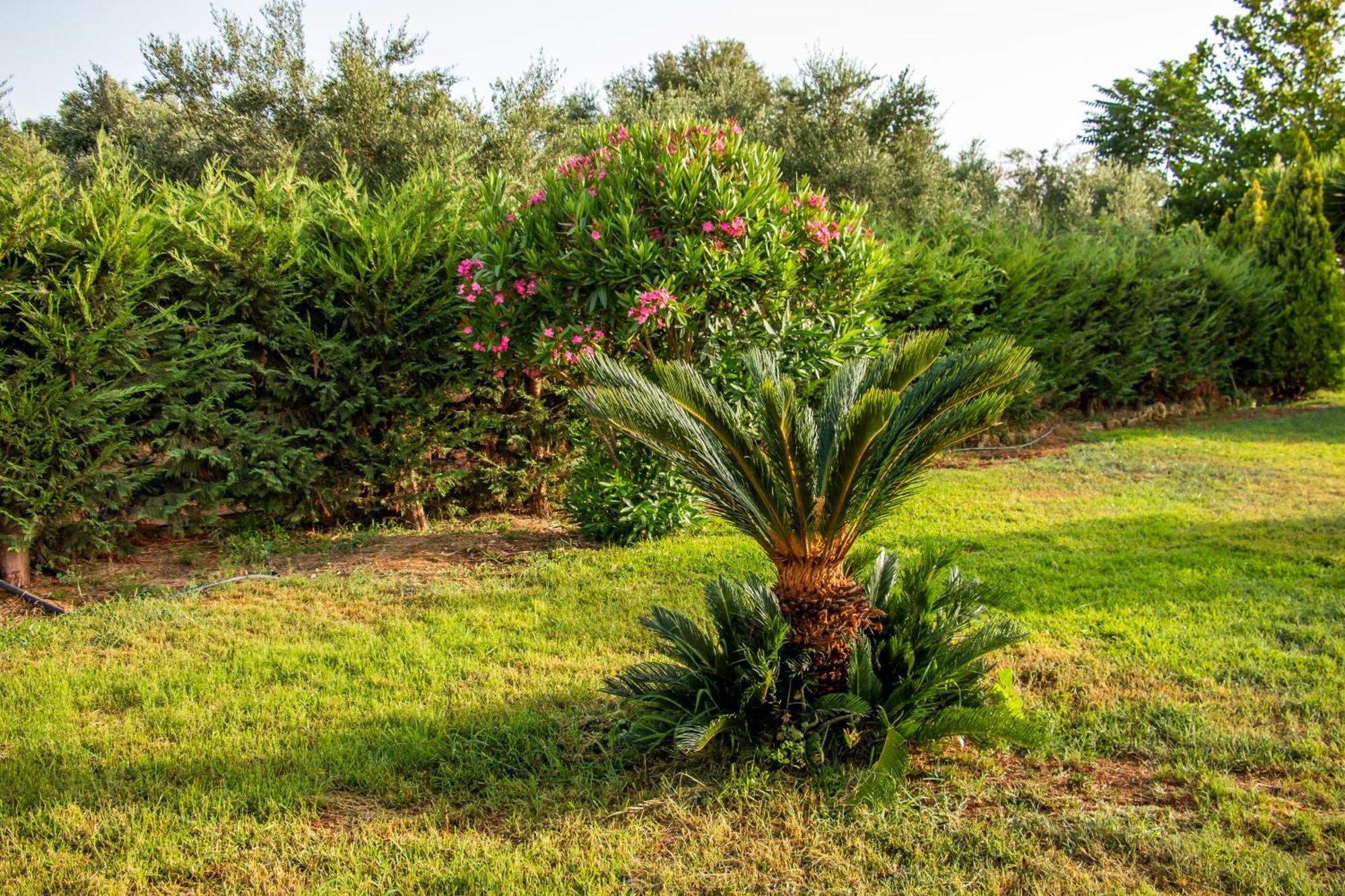 Lagouvardos