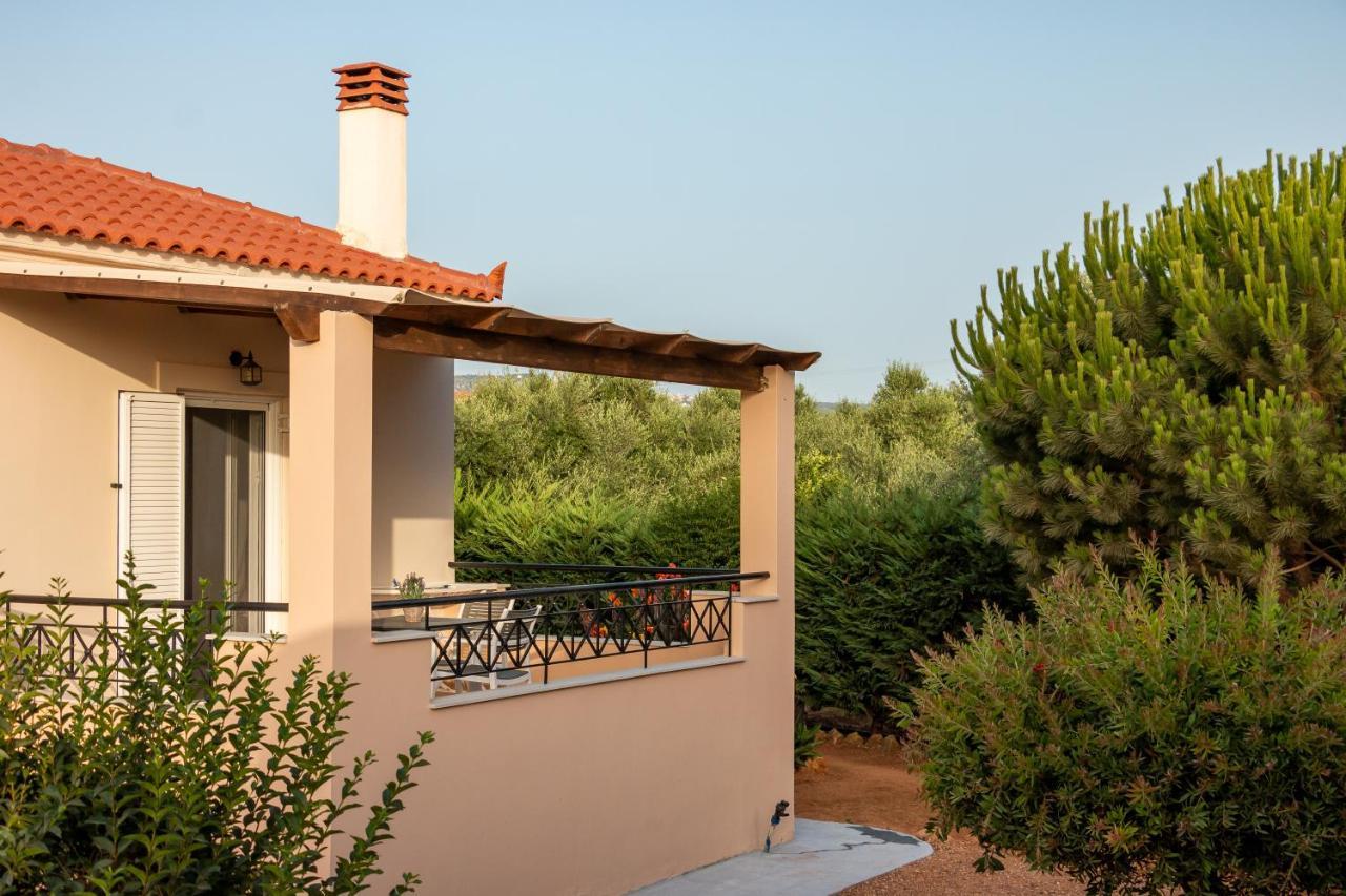 Apartment Lagouvardos