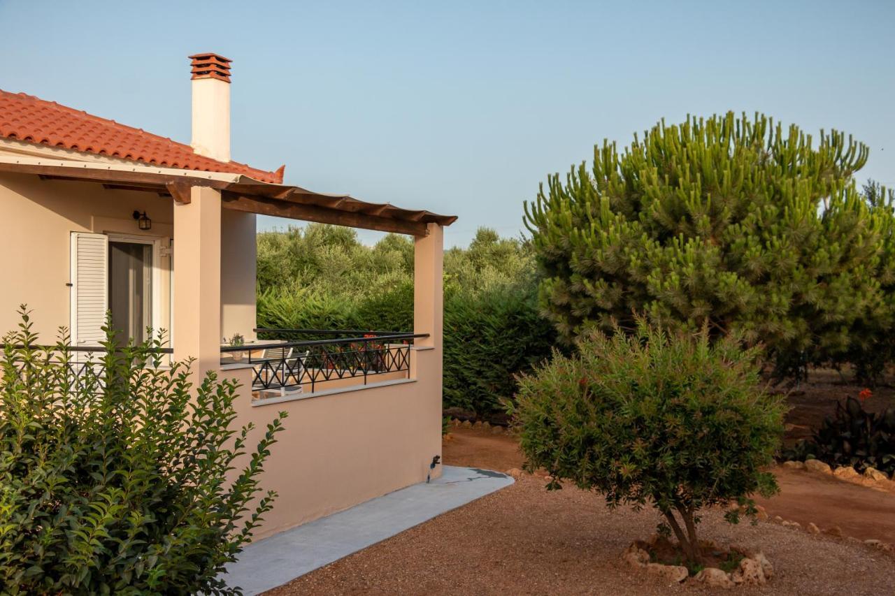 Lagouvardos Apartmán Marathopoli