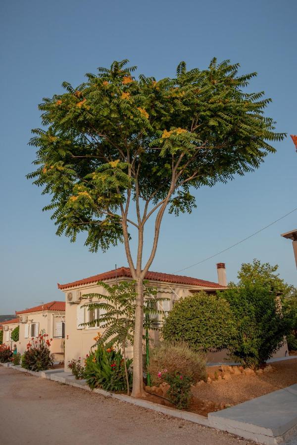 Lagouvardos *